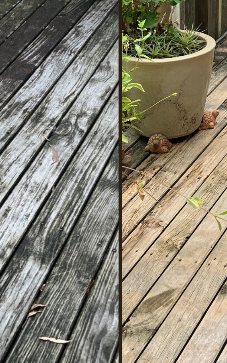 A timber deck before cleaning, blackened with mould and lichen