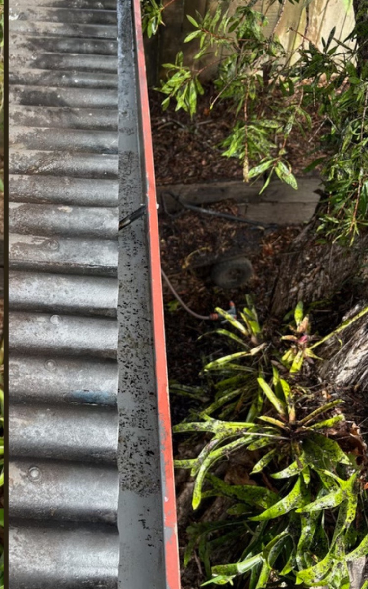 The same gutter after cleaning, clear along its full length