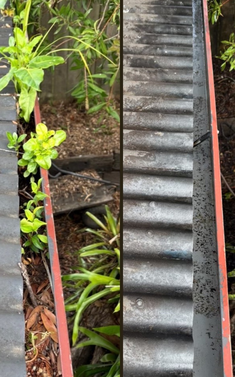 A gutter before cleaning, full of soil with weeds growing out of it